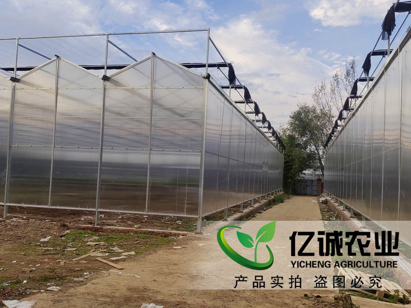 陽光板連棟薄膜溫室大棚